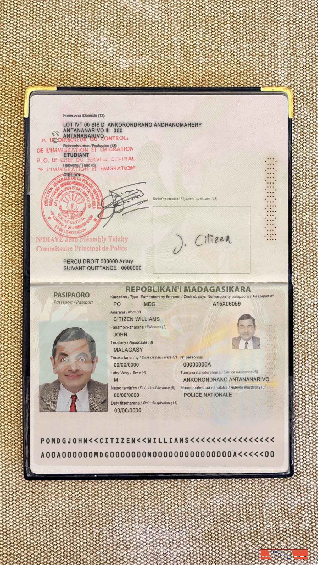 Madagascar passport photo look PSD template